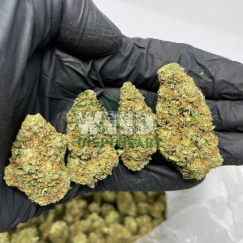 4900022515087288804_121-600x800-1.jpg blueberry cheesecake strain