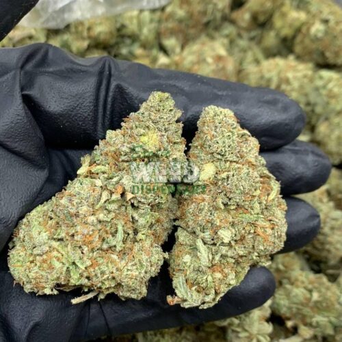 4900022515087288821_121.jpg Juicy Jack
