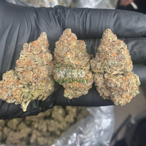 Runtz Strain