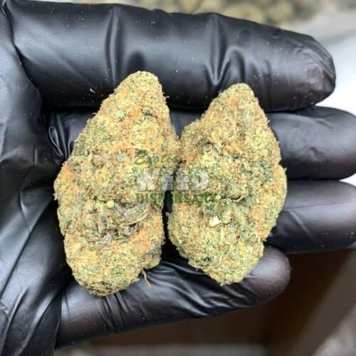 4900022515087288837_121.jpg OG Kush Breath