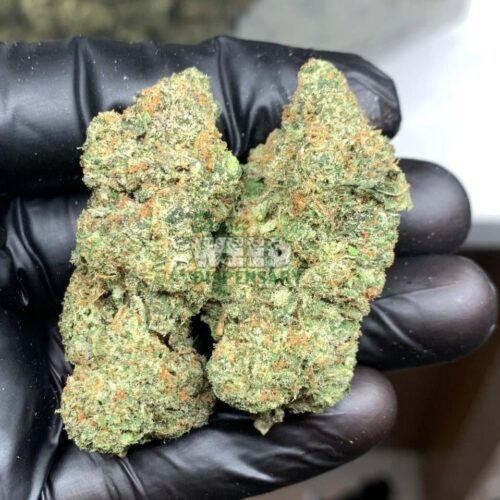 4900022515087288839_121.jpg Blueberry Diesel