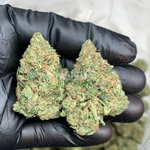4900022515087288847_121.jpg Super Silver Haze