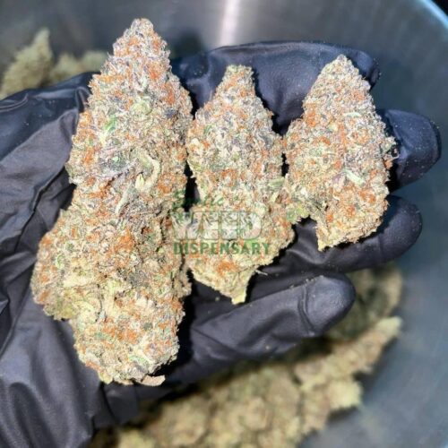 4900022515087288901_121.jpg Purple Dream