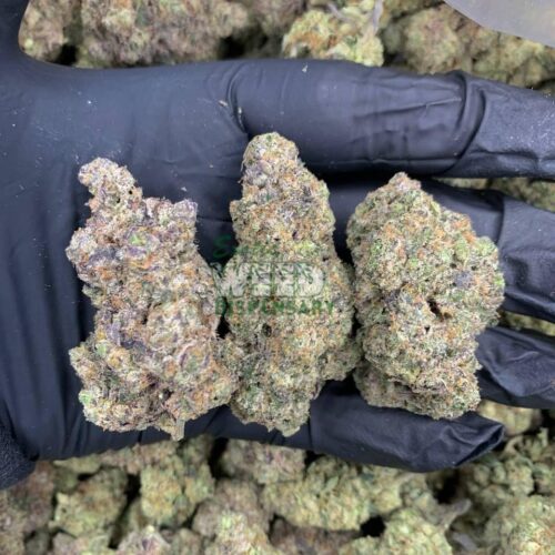 4900022515087288907_121.jpg Purple Pineberry