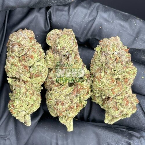 4900022515087288934_121.jpg Chemdawg 4
