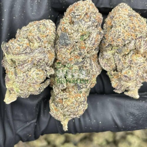 4900022515087288935_121.jpg Gorilla Glue 4