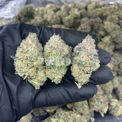 4900022515087288971_121.jpg Bubba OG