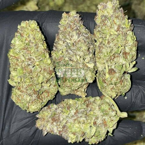 blue dream strain