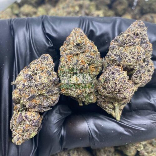 Blueberry-Kush-2.jpg Blueberry kush