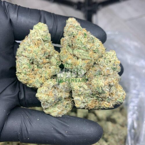 Crystal-Coma-Strain.jpg Crystal Coma Strain