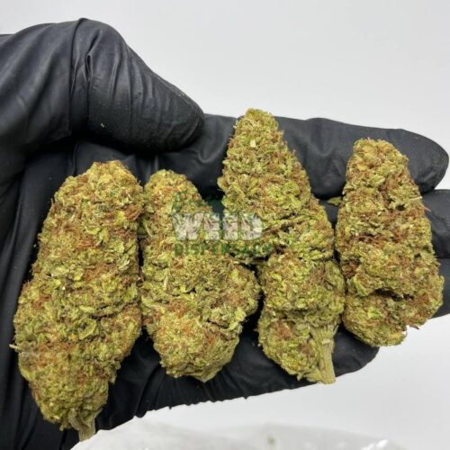 Durban-Poison.jpg Durban Poison