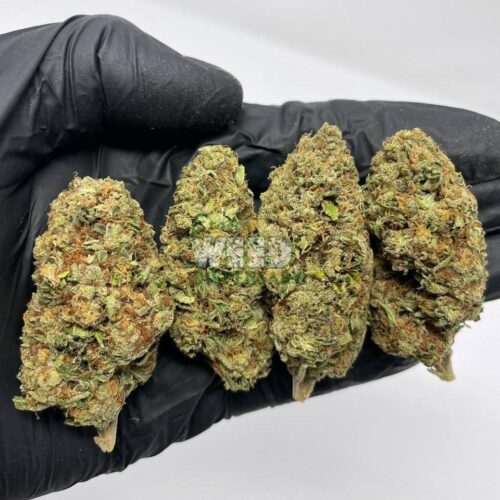 Girl-Scout-Cookies.jpg girl scout cookies strain