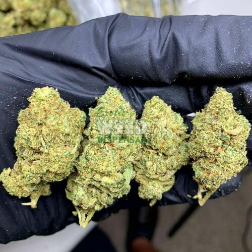 Green crack Strain
