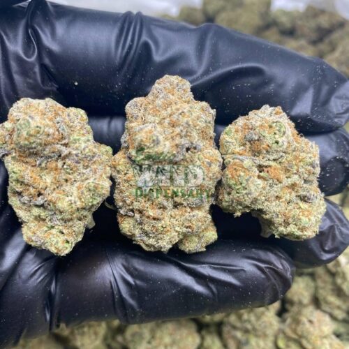 Hindu-Kush.jpg Hindu Kush strain