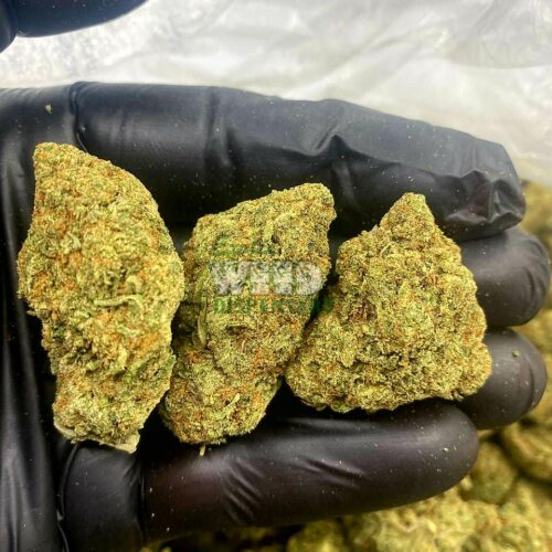 IMG_20211105_081210_357.jpg Jack Herer Strain
