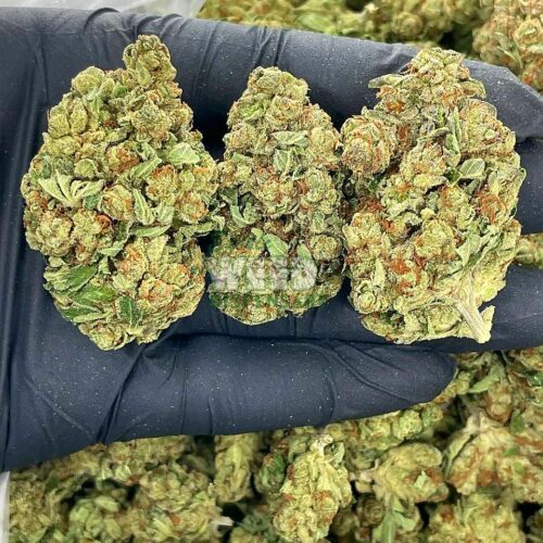 IMG_20211105_082748_305.jpg bruce banner weed