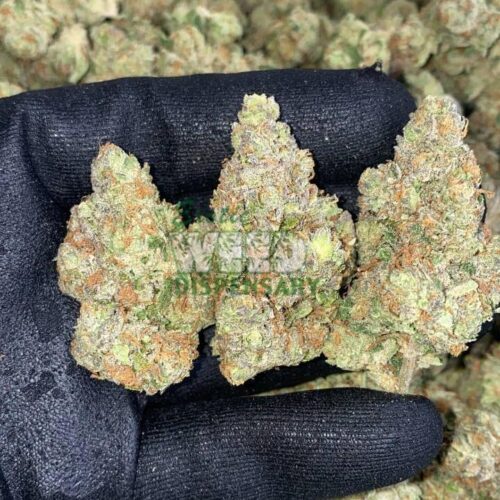 Kosher Kush