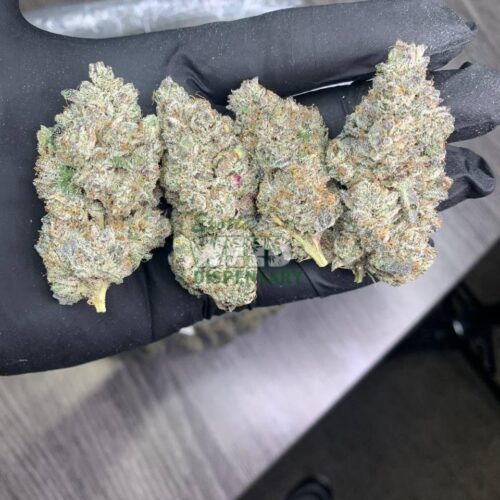 Northern-Lights.jpg Northern Lights strain