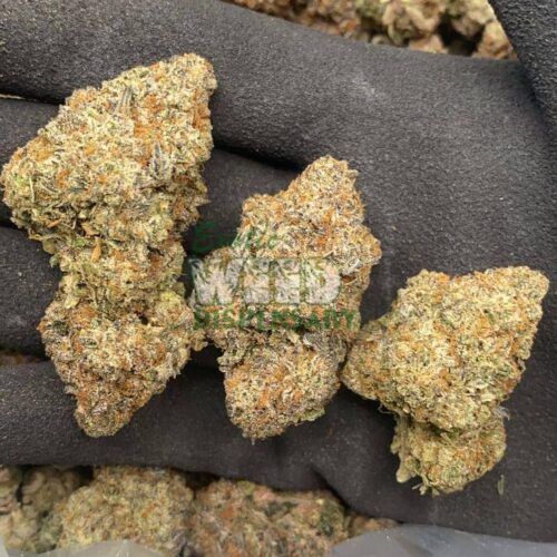 Platinum-Bubba-Kush.jpg Platinum Bubba Kush