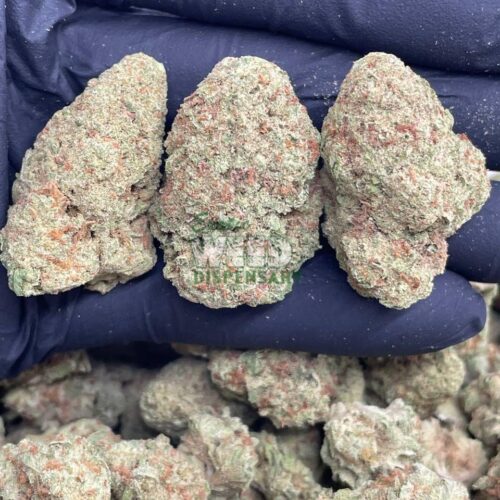 Platinum-OG.jpg Platinum OG