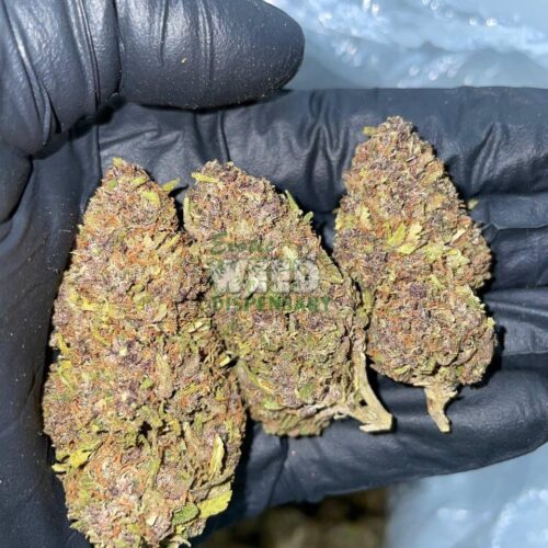 Purple-Urkle.jpg Purple Urkle Strain