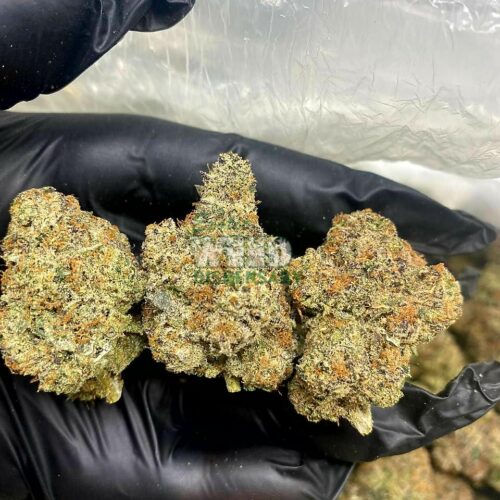 Rockstar OG