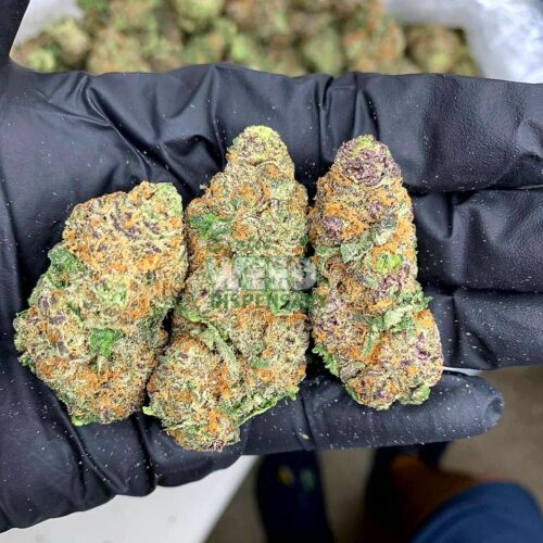 garanimals Strain