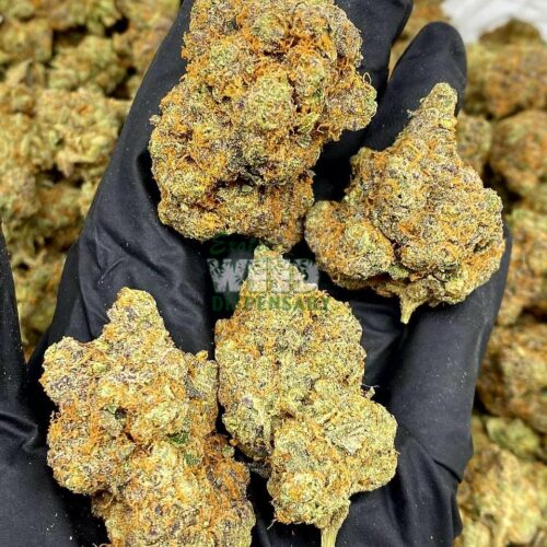 train wreck strain