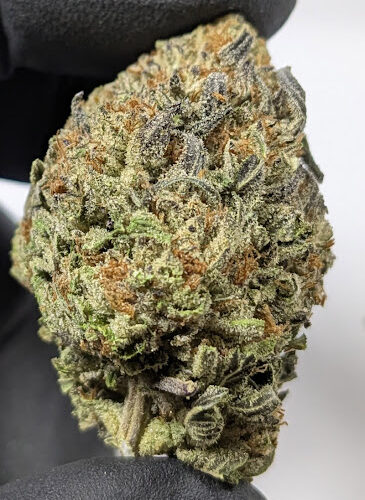 truffle cake strain