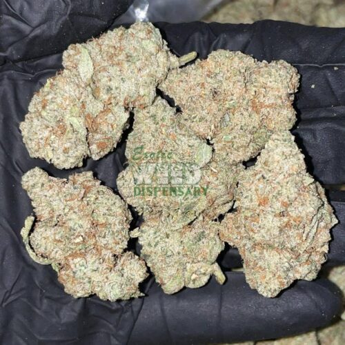 w17.jpg white widow strain