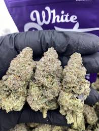 white-runtz.jpeg white runtz